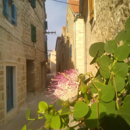 Exoticcroatia Srima