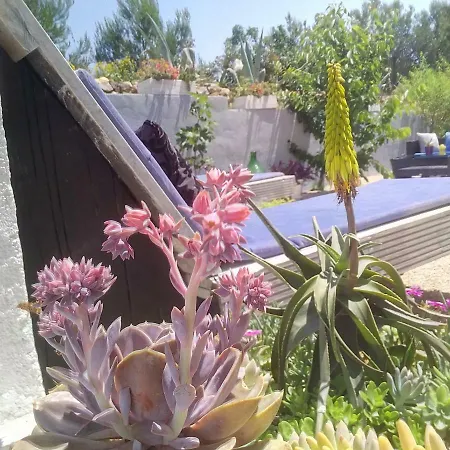 Exoticcroatia Apartment